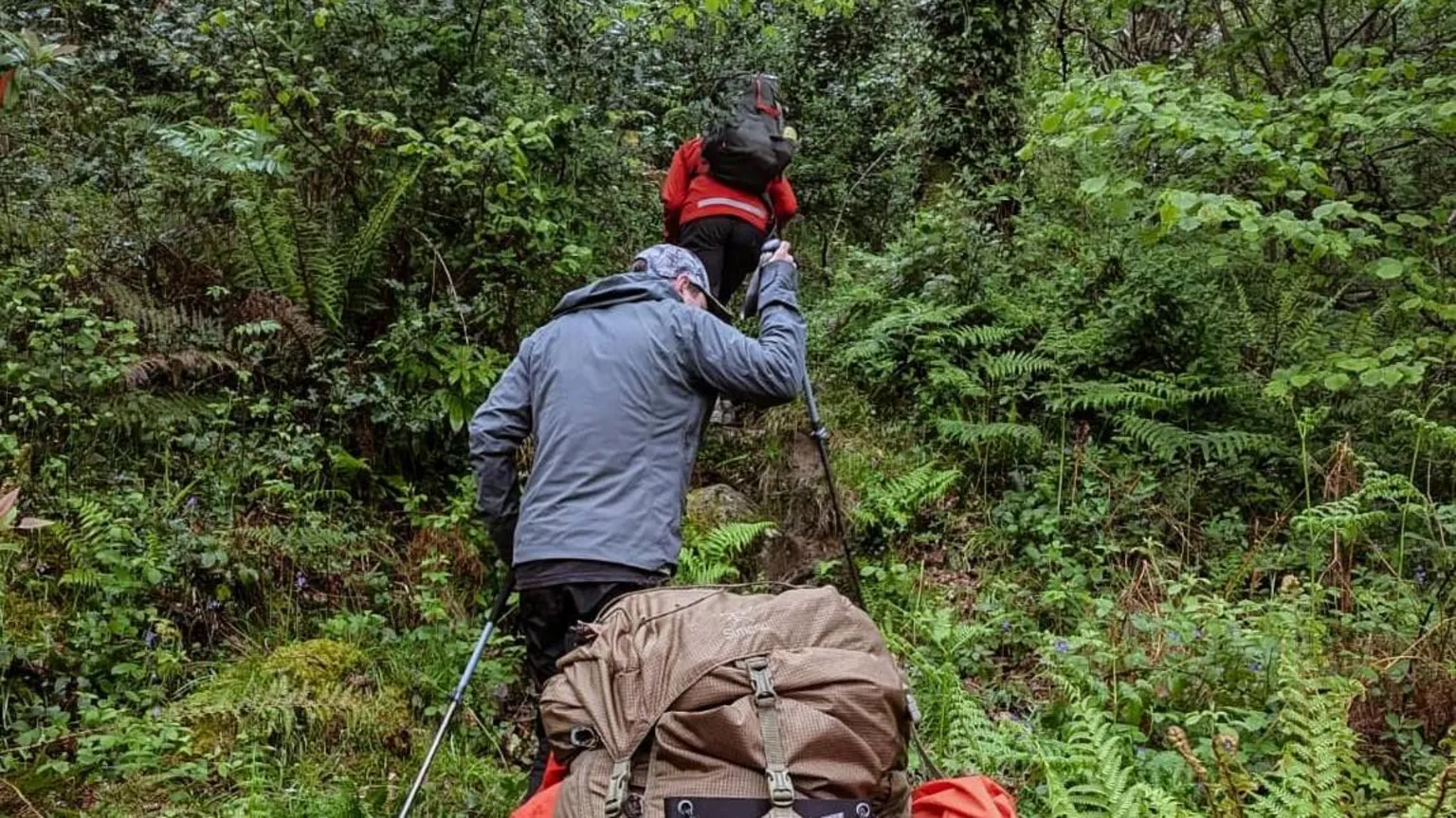 LOMOND MRT Two hikers carry large backpacks and use trekking poles while climbing a rugged, narrow trail through dense green forest. The path is surrounded by thick foliage and ferns, with outdoor gear strapped to their packs as they ascend the hillside.
